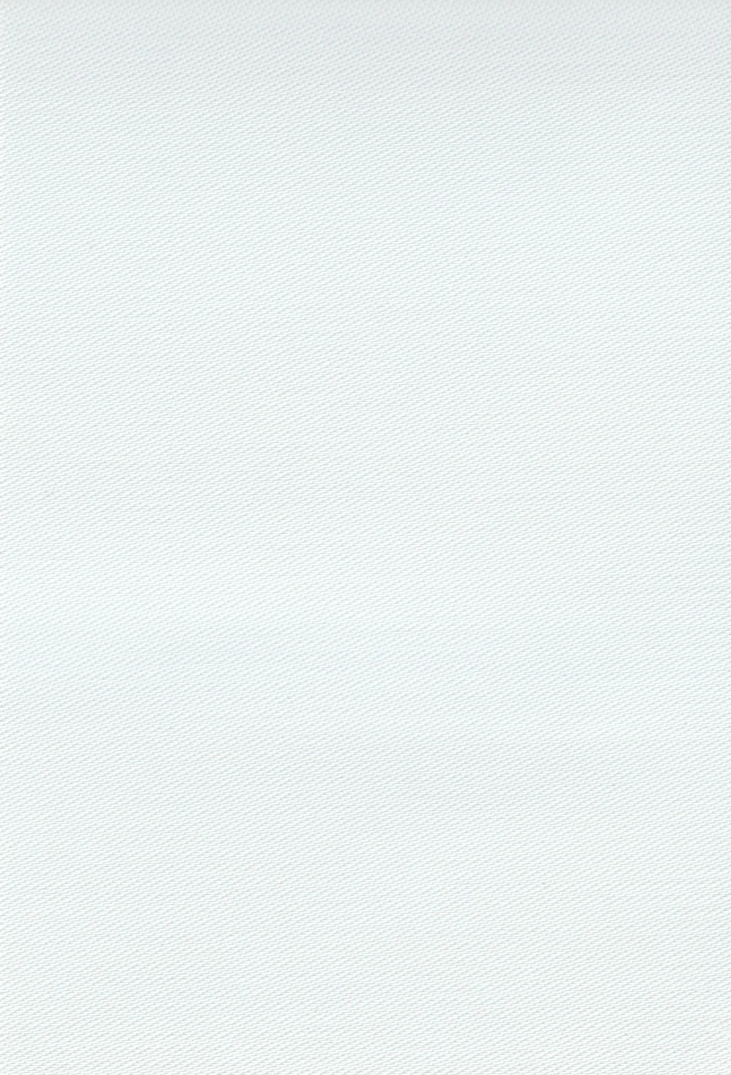 White Solomon - Image 7