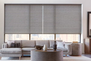 Motion Blinds